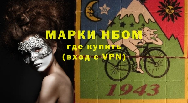 шишки Новокубанск