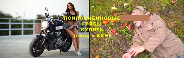 Альфа ПВП Нефтекумск
