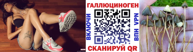 Галлюциногенные грибы ЛСД  ссылка на мегу tor  Медынь 